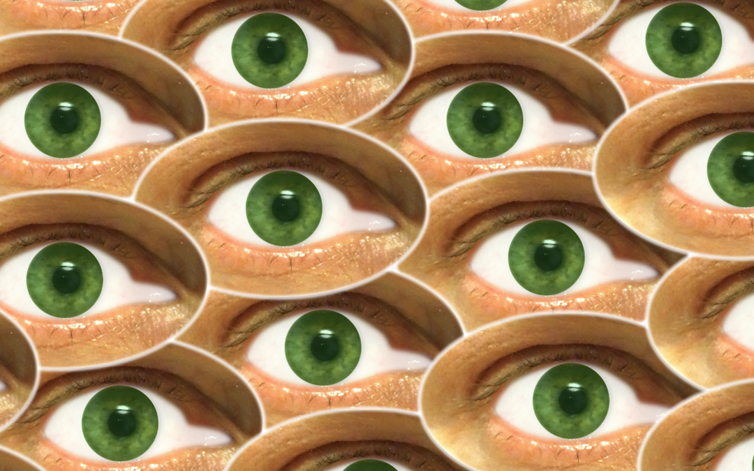 Eyes in the Sky: A Privacy Fallacy or Our Laziness?